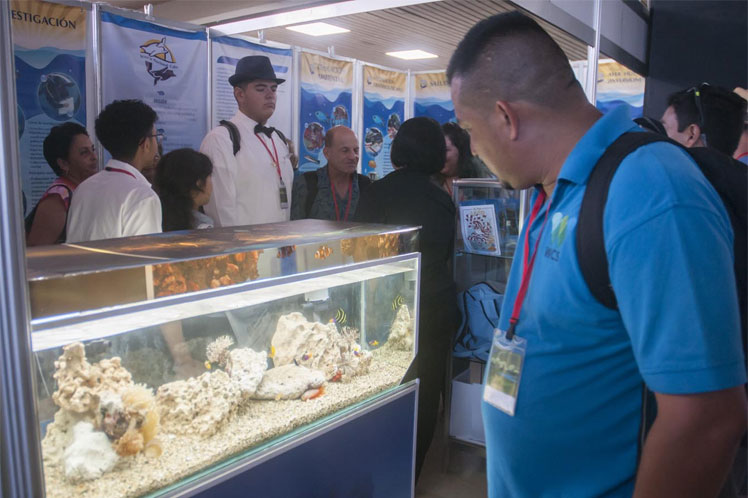 Convención Internacional sobre Medio Ambiente y Desarrollo