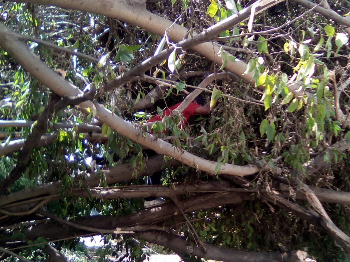 Citmatel en las tareas de recuperación tras el paso del huracán Irma