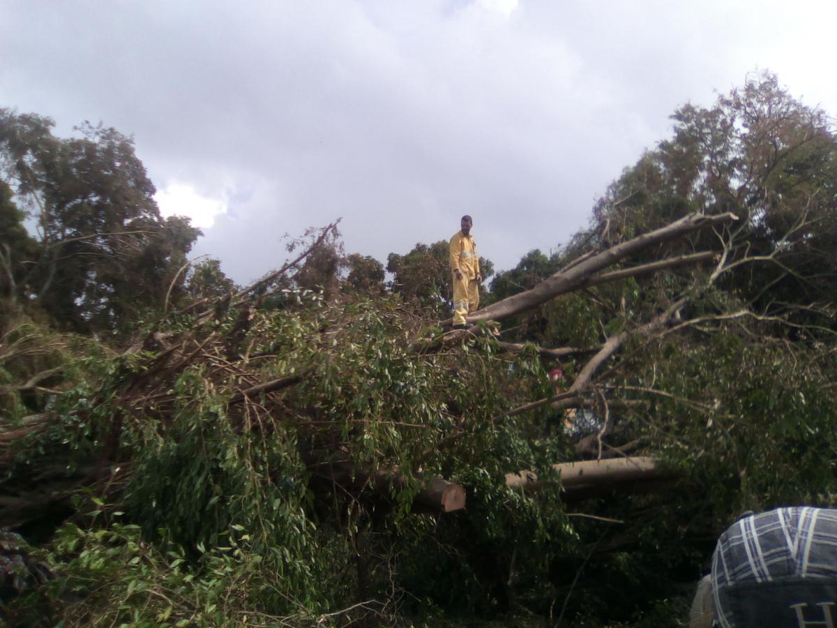 Citmatel en las tareas de recuperación tras el paso del huracán Irma