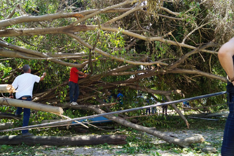 Citmatel en las tareas de recuperación tras el paso del huracán Irma