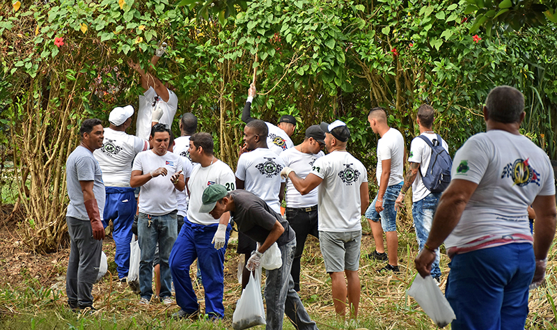El Club de Motos Eléctricas “atropella” al caracol gigante africano. Foto: Sergei Montalvo Aróstegui El Club de Motos Eléctricas “atropella” al caracol gigante africano. Foto: Sergei Montalvo Aróstegui