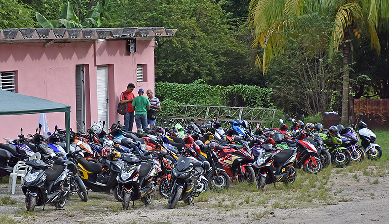 El Club de Motos Eléctricas “atropella” al caracol gigante africano. Foto: Sergei Montalvo Aróstegui El Club de Motos Eléctricas “atropella” al caracol gigante africano. Foto: Sergei Montalvo Aróstegui