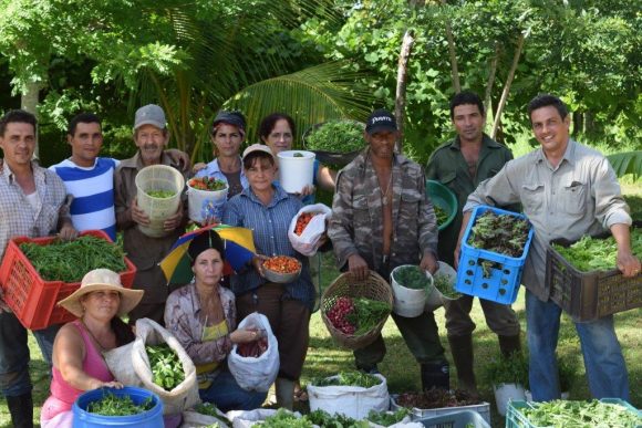 Finca Marta Finca Marta