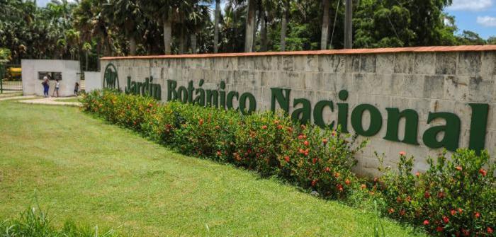Jardín Botánico Nacional. Foto: Tomada de ACN Jardín Botánico Nacional. Foto: Tomada de ACN