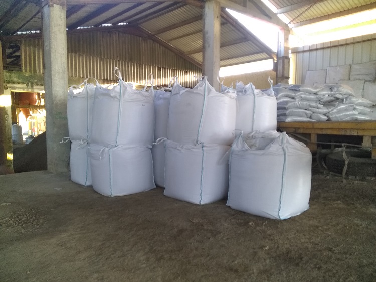 (Foto: Mary Lenia Pérez Cazorla)