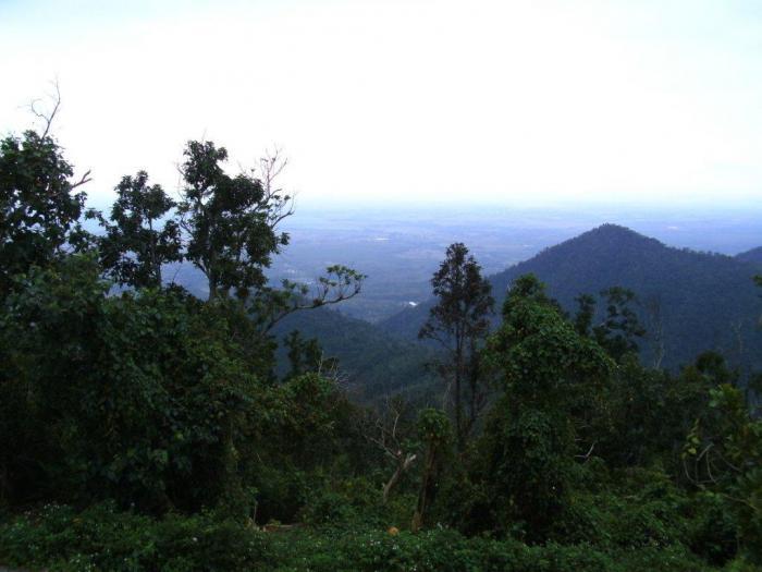 Con una extensión de 25 000 hectáreas, la Reserva de la Biosfera Sierra del Rosario resulta emblemática por la belleza del paisaje y la cooperación de la comunidad en el cuidado de sus valores ecológicos. Foto: Alejandro González Quintana 